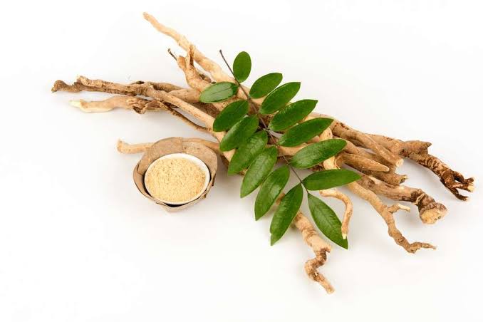 Robusta Greenbean Product
